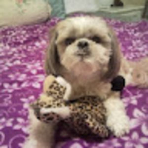 Meet your Posher, Dahny